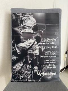【非売品!!】My Hair is Bad ポスター