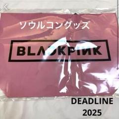 BLACKPINK ソウルコン2025 グッズ　ポーチ YG公式 】BLACKPINK ソウルコン限定 メッシュポーチの通販 by