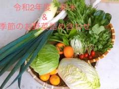 朝採れ無農薬野菜 と 新米詰め合わせセット