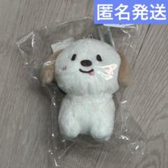 RIIZE ぬいぐるみバッジ アントン モンリョンイ 멍룡이 アントン