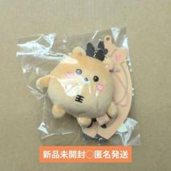 RIIZE ソンチャン シュシュ キーリング ピンバッジ RIIZE ソンチャン シュシュ キーリング ピンバッジ - メルカリ