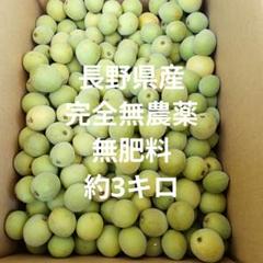 梅 無農薬 B品 １０キロ 採れたて 長野産 梅 無農薬 豊後 採りたて 10キロ 熟度 混合 長野産 - メルカリ