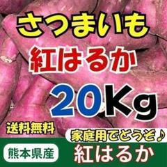 茨城県産　紅はるか20kg ねっとり甘い！熟成紅はるか Sサイズ 20kg さつまいも：茨城県産