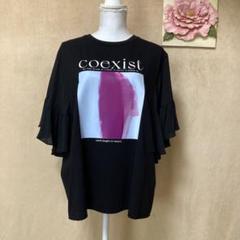 2025年最新】クールカレアン 半袖(Tシャツ)の人気アイテム