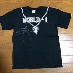 ドラゴンゲート ワールドワンTシャツ