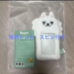 スビン TXT プルバトゥ フォトカードホルダー トレカケース
