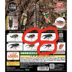 いきもの大図鑑 くわがた10 樹皮台座（小）セット｜いきもの大