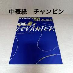 匿名配送 straykids フィリックス サイン LEVANTER アルバム Stray Kids Cle : LEVANTER - JYP SHOP