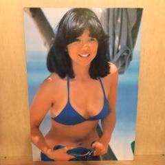 宮崎美子 (みやざきよしこ) パネル ポスター 水着 グラビア