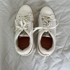 COLE HAAN ホワイト スニーカー　中古品