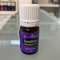 ヤングリヴィング  ラベンダー　ヤングシーブス　新品未使用　ヤングリビング ラベンダー15ml | ヤングリビング精油 | Young Living Essential