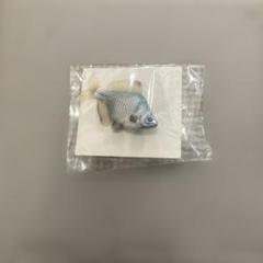 魚標本　　木更津沖　昭和53年 魚標本木更津沖昭和53年