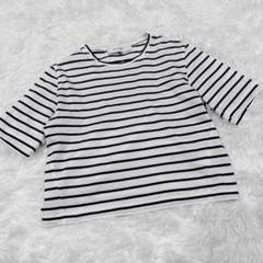 ルシェルブルー ボーダー カットソー Tシャツのサムネイル