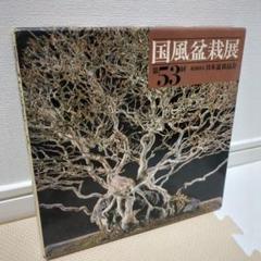 第53回国風盆栽展 日本盆栽協会