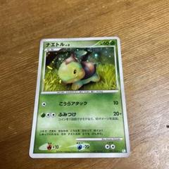 ピカチュウlv11 ヒコザルlv11ポッチャマlv13 ナエトルlv8 m74804423348_1.jpg?1724921858