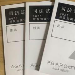 アガルート 司法試験 短答知識完成講座 刑法 2025年合格目標 状態良品 008s4D アガルート 司法試験 短答知識完成講座 刑法 2025年合格目標