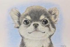 【原画】『クリスマスの鎧』（犬　絵画　パステル画　チワワ） Amazon | 原画 クリスマスの鎧 （犬 絵画 パステル画 チワワ