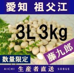 2022年新物　生産者直送 久寿 ぎんなん 祖父江産 銀杏 4L 3kg 2024年新物 生産者直送 久寿ぎんなん 愛知県 祖父江産 銀杏 4L
