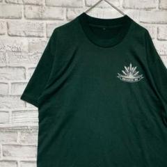 USA製90sヴィンテージTシャツ!シングルステッチ グリーン半袖古着L711