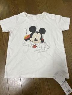 最終価格！インセクトコレクション限定　ディズニーTシャツ145cm