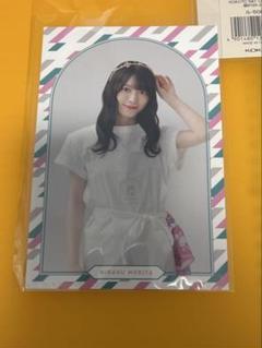櫻坂46 ファンクラブ 新規入会特典 ポストカード 森田ひかる