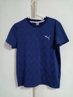 PUMA　プーマ　Tシャツ　半袖