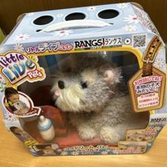 マイドリームパピー　スナッグルズ 新品】【外箱に破れあり】リトルライブペット マイドリーム