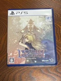 ロードス島戦記 ディードリット・イン・ワンダーラビリンス PS5