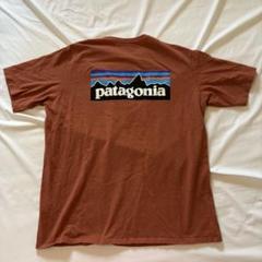 patagonia ブラウン Tシャツ L made in Mexico