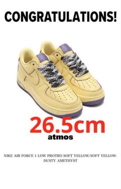 Kobe Bryant × Nike Air Force 1 LowProtro