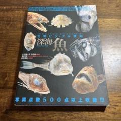 生物ビジュアル資料「深海魚」　宮正樹　佐土哲也