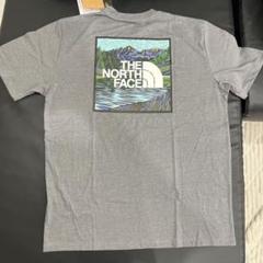 THE NORTH FACE グレー TシャツUSサイズL 日本サイズXL相当