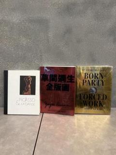 アート本セット：ピカソ・草間彌生・他