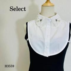 【極美品】つけ襟 ビジュー＆パール装飾 スカラップレース Ｆ相当 ホワイト