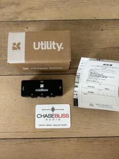 Chase Bliss Audio Brothers AM（新品）【楽器検索デジマート】