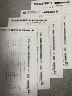日能研 最新版 2023 6年 夏期家庭学習確認テスト 全回数 - メルカリ