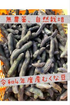 2022年最新】ムクナ豆の人気アイテム - メルカリ