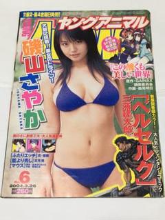 三津谷葉子 磯山さやか グラビア切り抜き 週刊ヤングジャンプ No