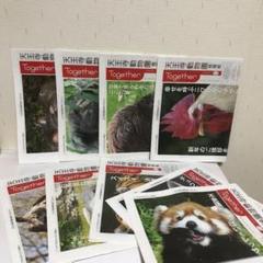 天王寺動物園情報紙