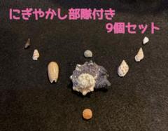 ★★相撲画家 松岡リン「綱をつける横綱三重ノ海」リン・スターム・レビィ画集 相撲画家 松岡リン「綱をつける横綱三重ノ海」リン・スターム