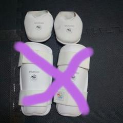 SHUREIDO 空手防具 　守礼堂　インステップ　シンガード　Mサイズ