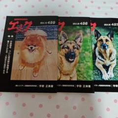 エリク 497号 498号 499号