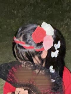 体育祭　文化祭　盛り髪セット