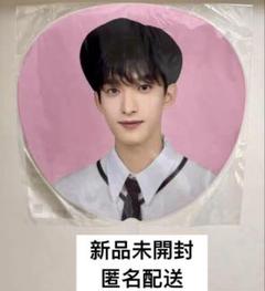 新品未開封】 SEVENTEEN holiday ペンミ うちわ ドギョム - メルカリ