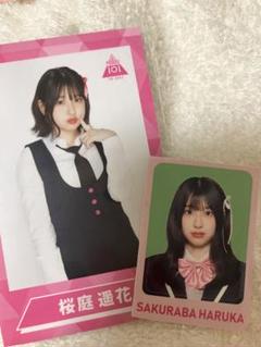 桜庭遥花　日プ　CUTIESTREET