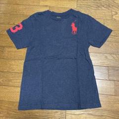 Polo Ralph Lauren ネイビー Tシャツ M