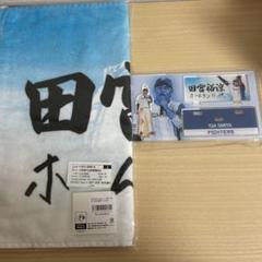 北海道日本ハムファイターズ ジャンボアクリルスタンド 田中正義