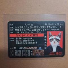 2025年最新】コロコロコミックなめ猫免許証の人気アイテム