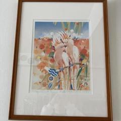 Helen Willshire パステル画 鳥 1993年 Helen Willshire パステル画 鳥 1993年 - メルカリ