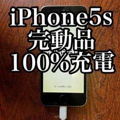 iPhone 5s 16GB スペースグレイ docomo 完動品 100%充電 - メルカリ